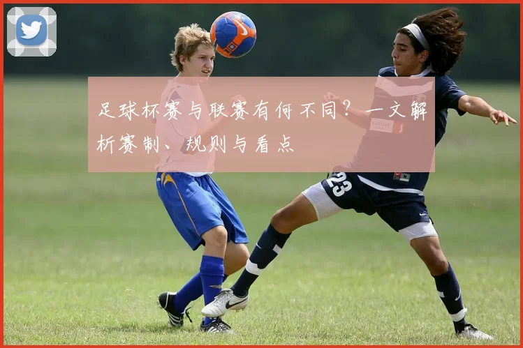 足球杯赛与联赛有何不同？一文解析赛制、规则与看点